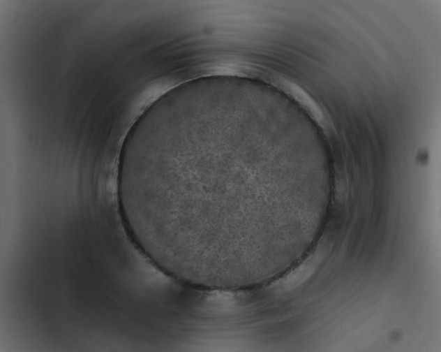 X0000103960938200809261808