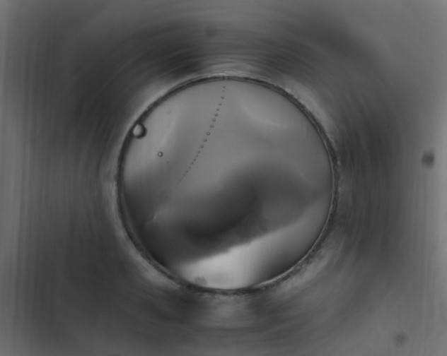 X0000103960941200809261808
