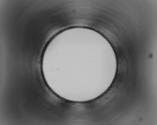 X0000103960942200809261808