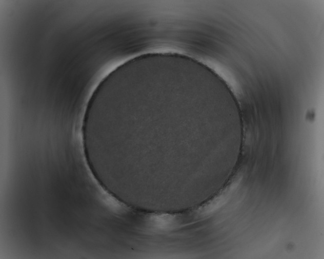 X0000103960943200809261808