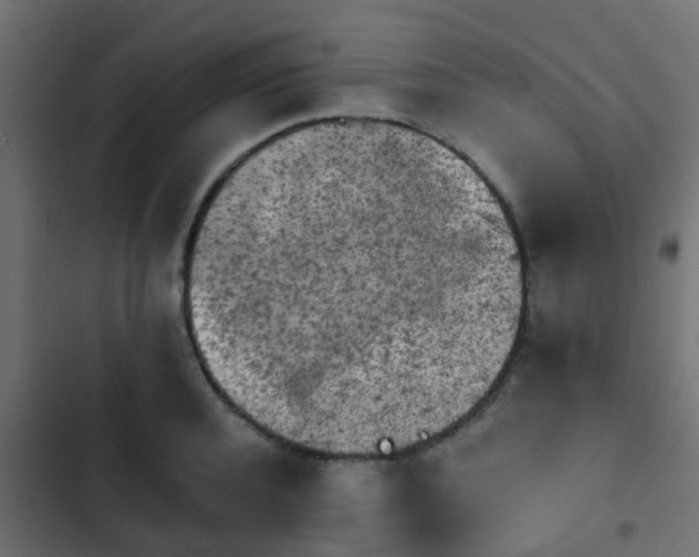 X0000103960944200809261808