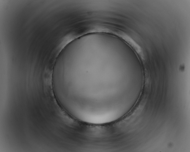 X0000103960945200809261808
