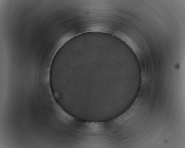 X0000103960946200809261808