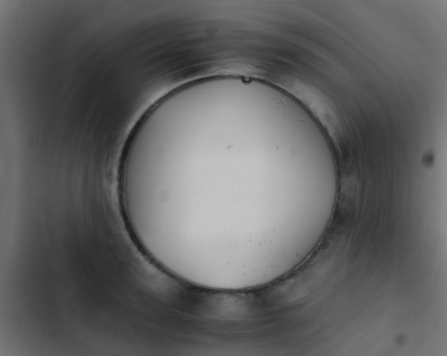 X0000103960947200809261808
