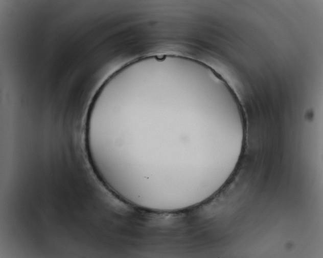 X0000103960949200809261808
