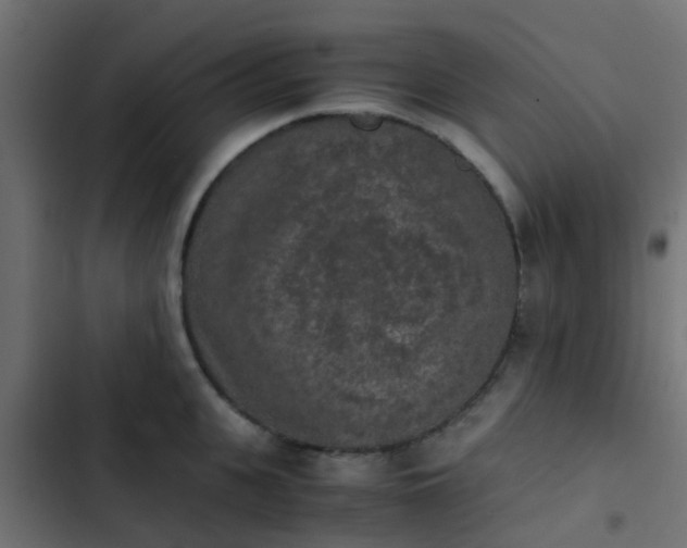 X0000103960951200809261808