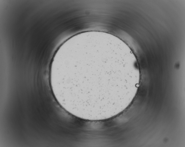 X0000103960952200809261808