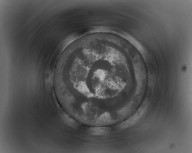X0000103960953200809261808