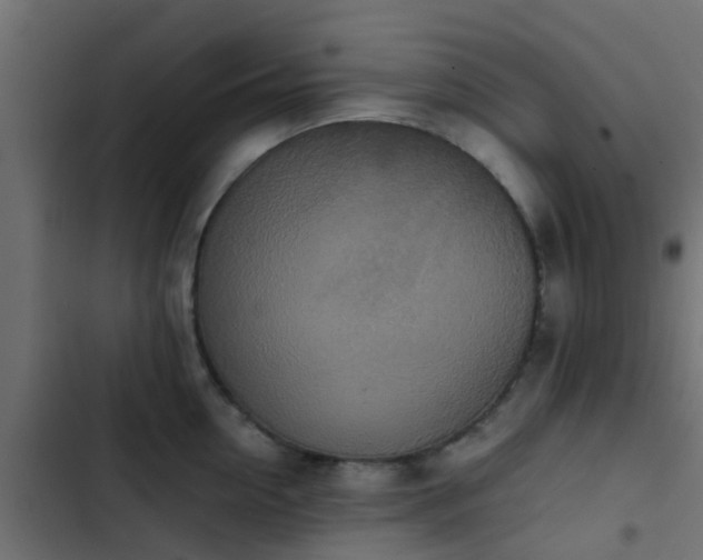 X0000103960954200809261808