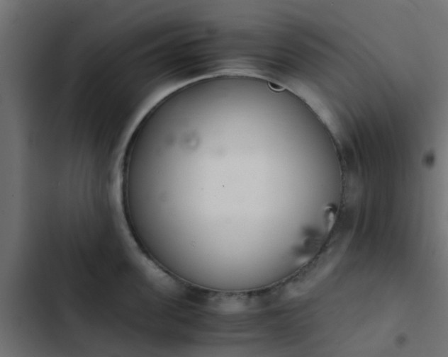 X0000103960955200809261808