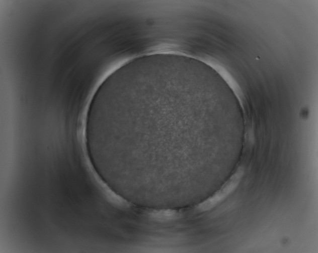 X0000103960957200809261808