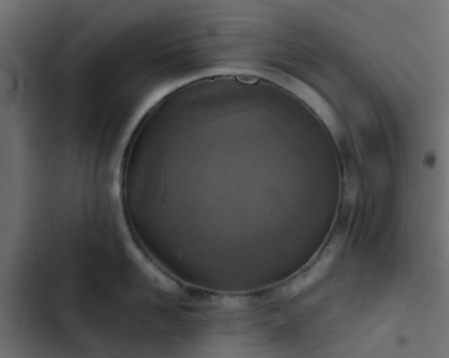 X0000103960958200809261808