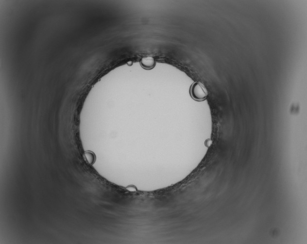 X0000103960961200809261807