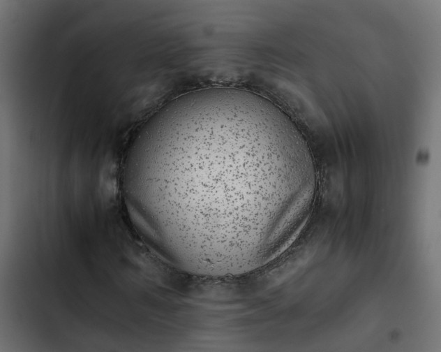 X0000103960962200809261807