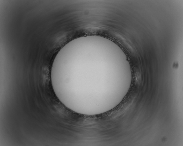 X0000103960964200809261807