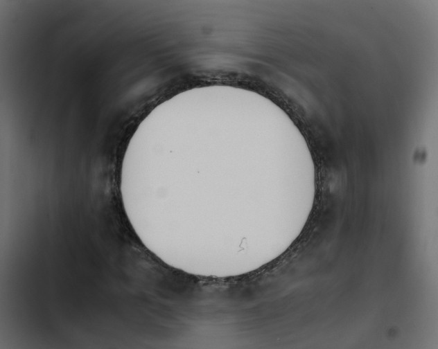 X0000103960965200809261807