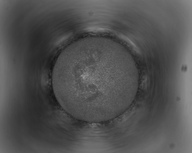 X0000103960966200809261807