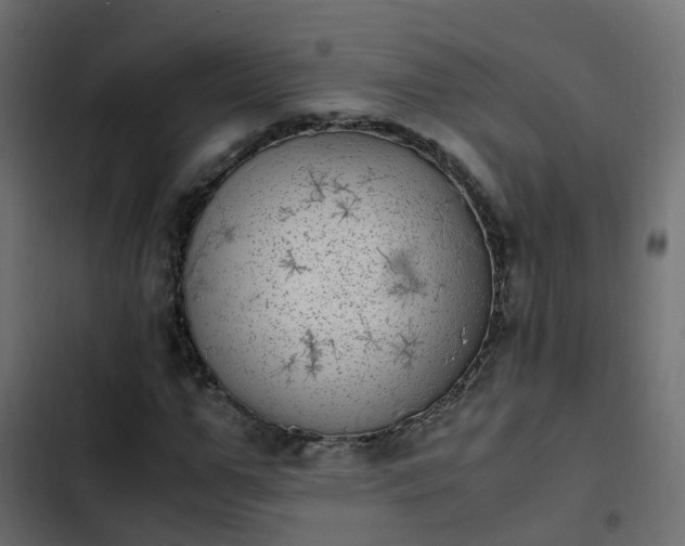 X0000103960967200809261807