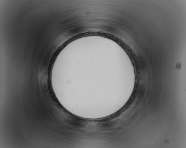 X0000103960969200809261807