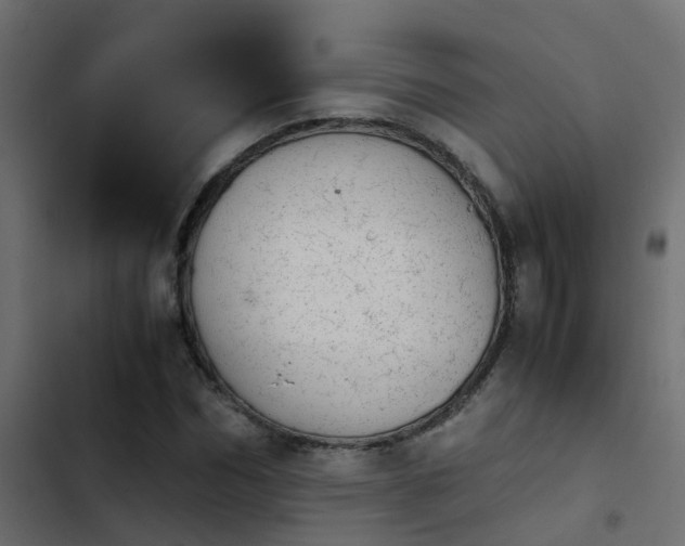 X0000103960970200809261807