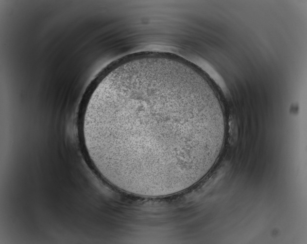 X0000103960972200809261807