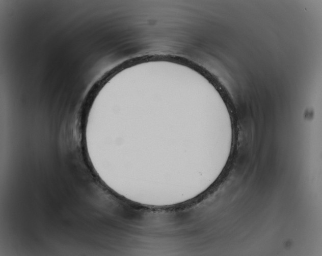 X0000103960973200809261807
