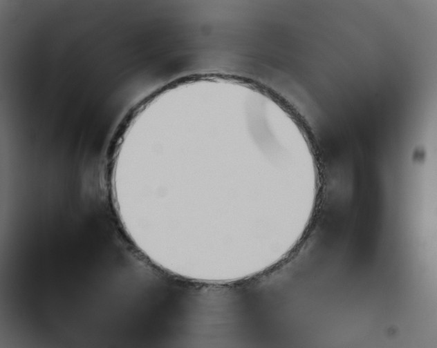 X0000103960974200809261807