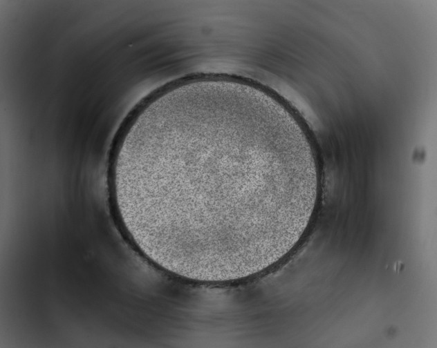 X0000103960976200809261807