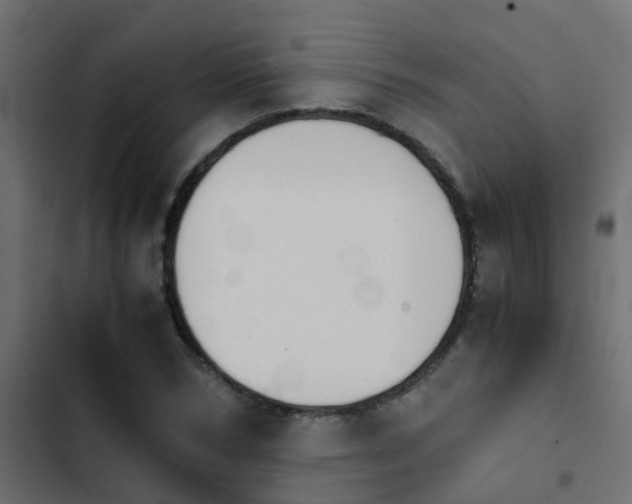 X0000103960978200809261807