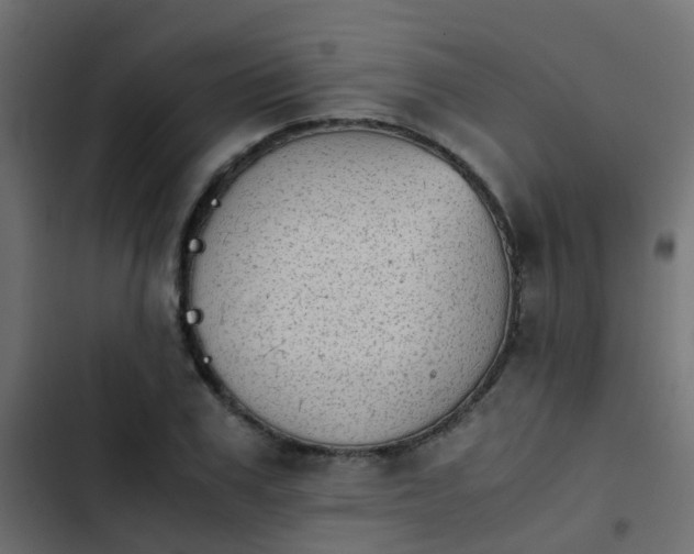 X0000103960979200809261807