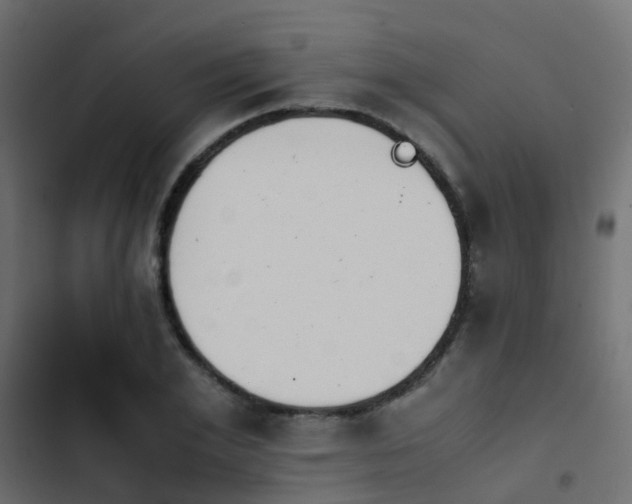 X0000103960981200809261807