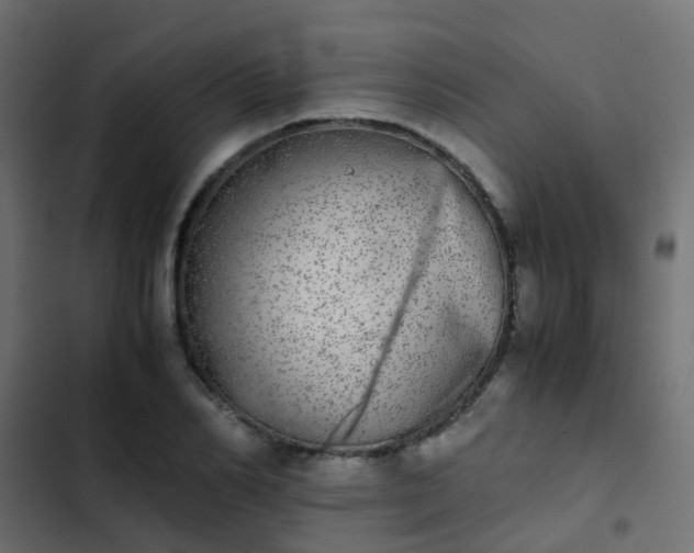 X0000103960982200809261807