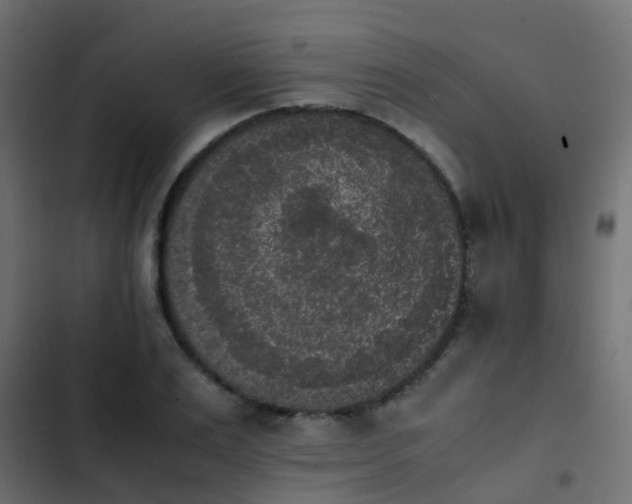 X0000103960983200809261807