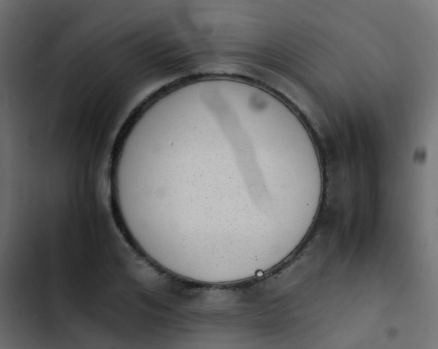 X0000103960984200809261807