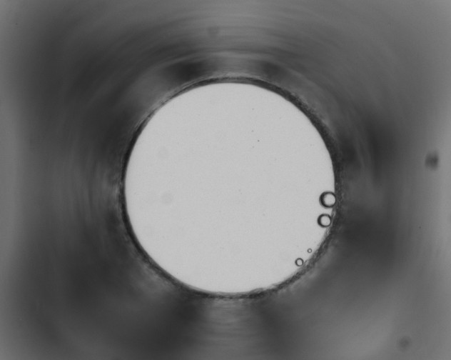 X0000103960985200809261807