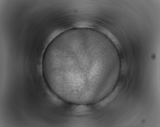 X0000103960986200809261807