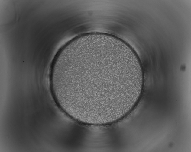 X0000103960987200809261807
