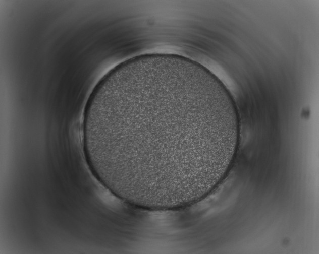 X0000103960988200809261807
