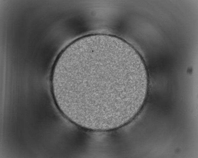 X0000103960989200809261807