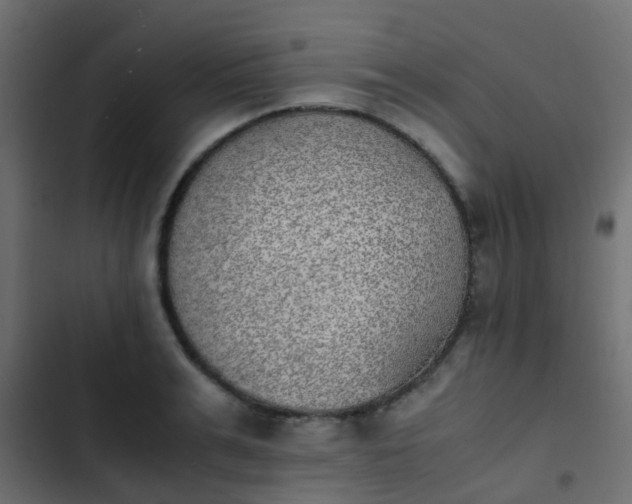 X0000103960991200809261807
