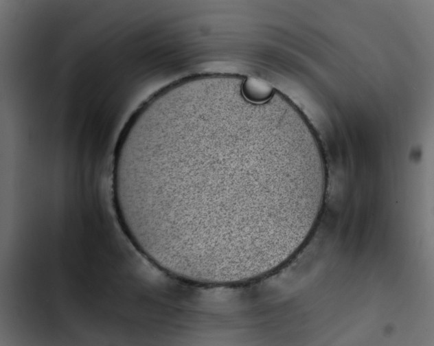 X0000103960992200809261807