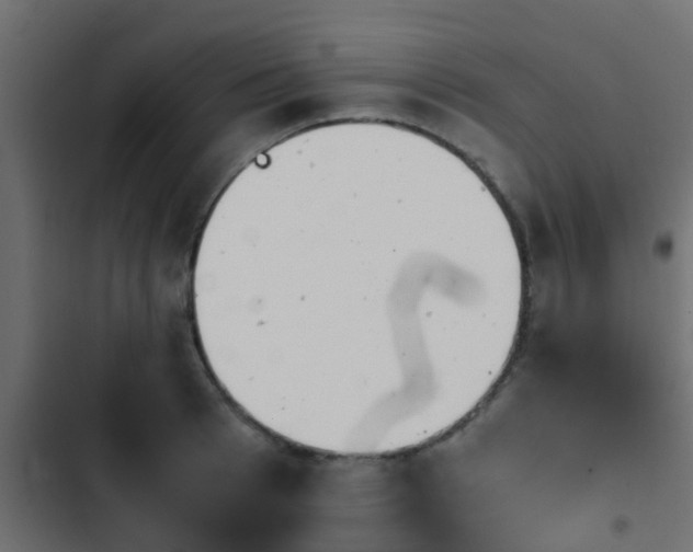 X0000103960993200809261807