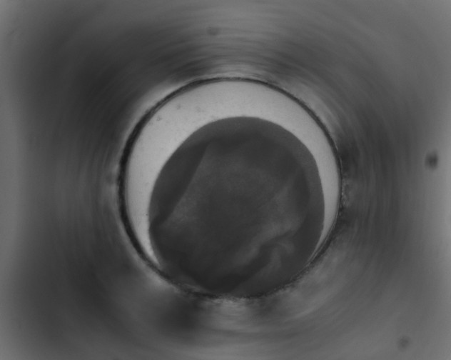 X0000103960995200809261807