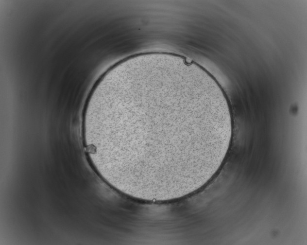 X0000103960996200809261807