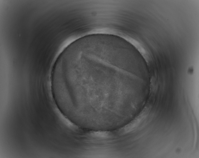 X0000103960998200809261807