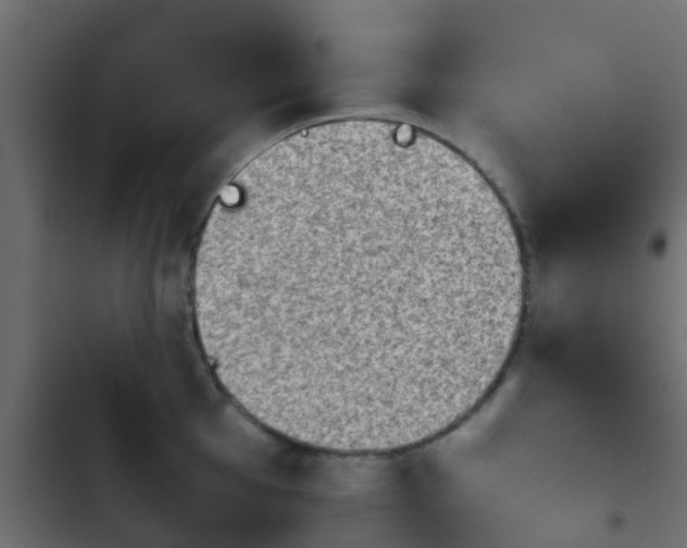 X0000103961001200809261807
