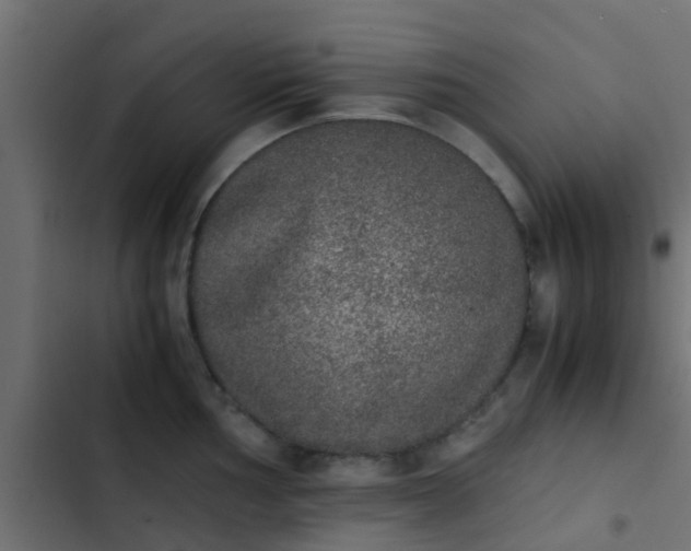 X0000103961002200809261807