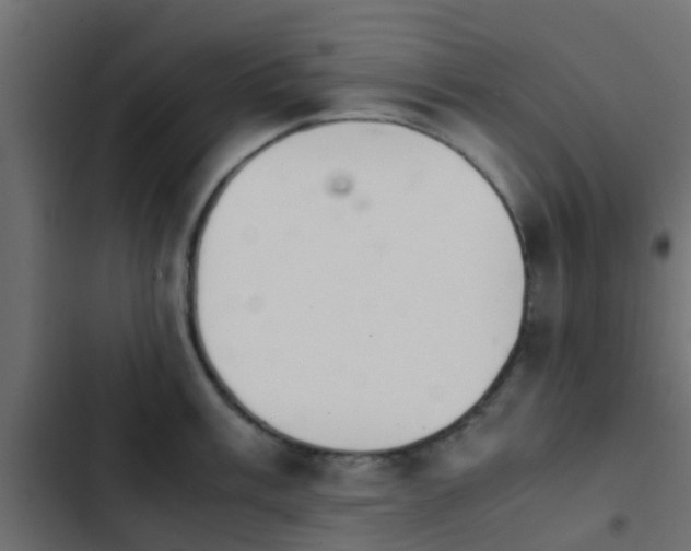 X0000103961003200809261807