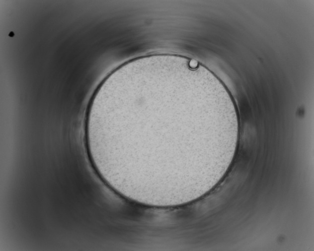 X0000103961005200809261807