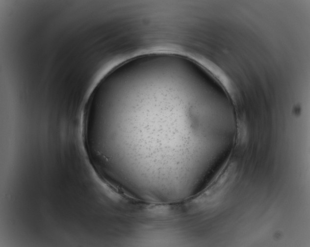 X0000103961006200809261807